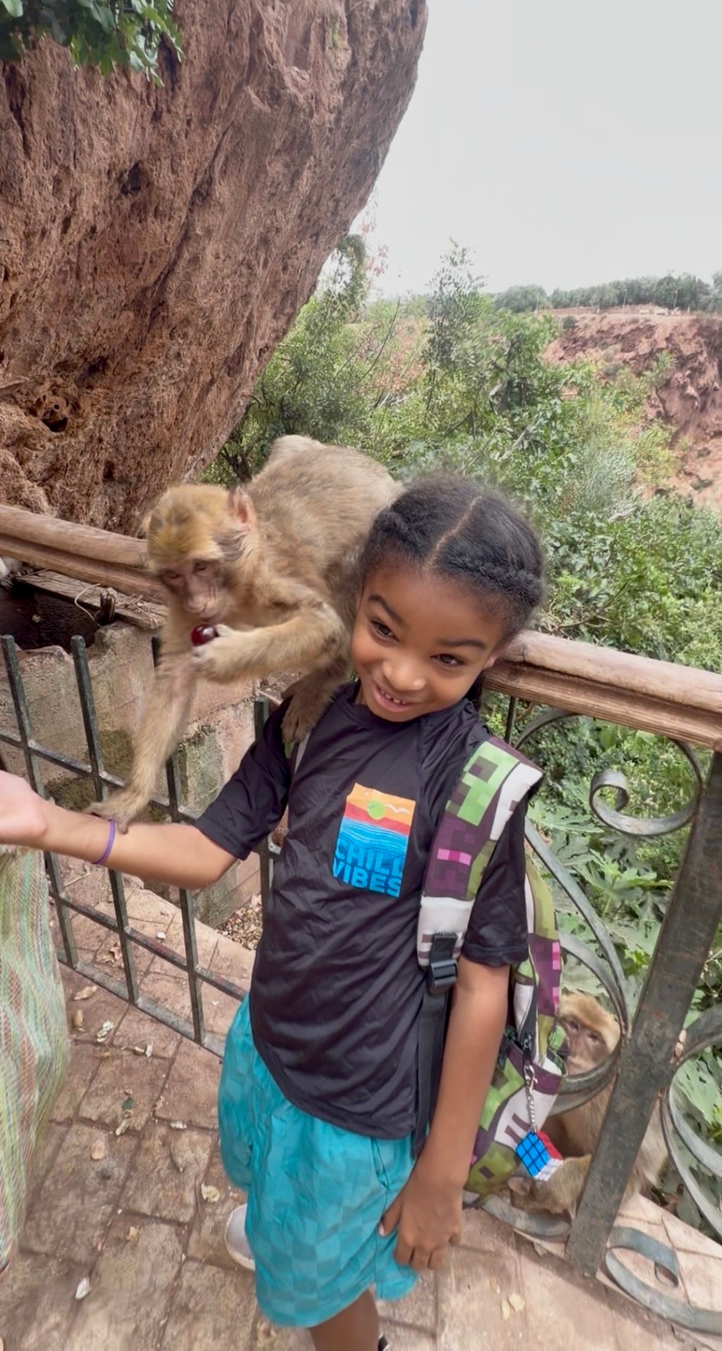 Amber's son with a monkey in Morocco